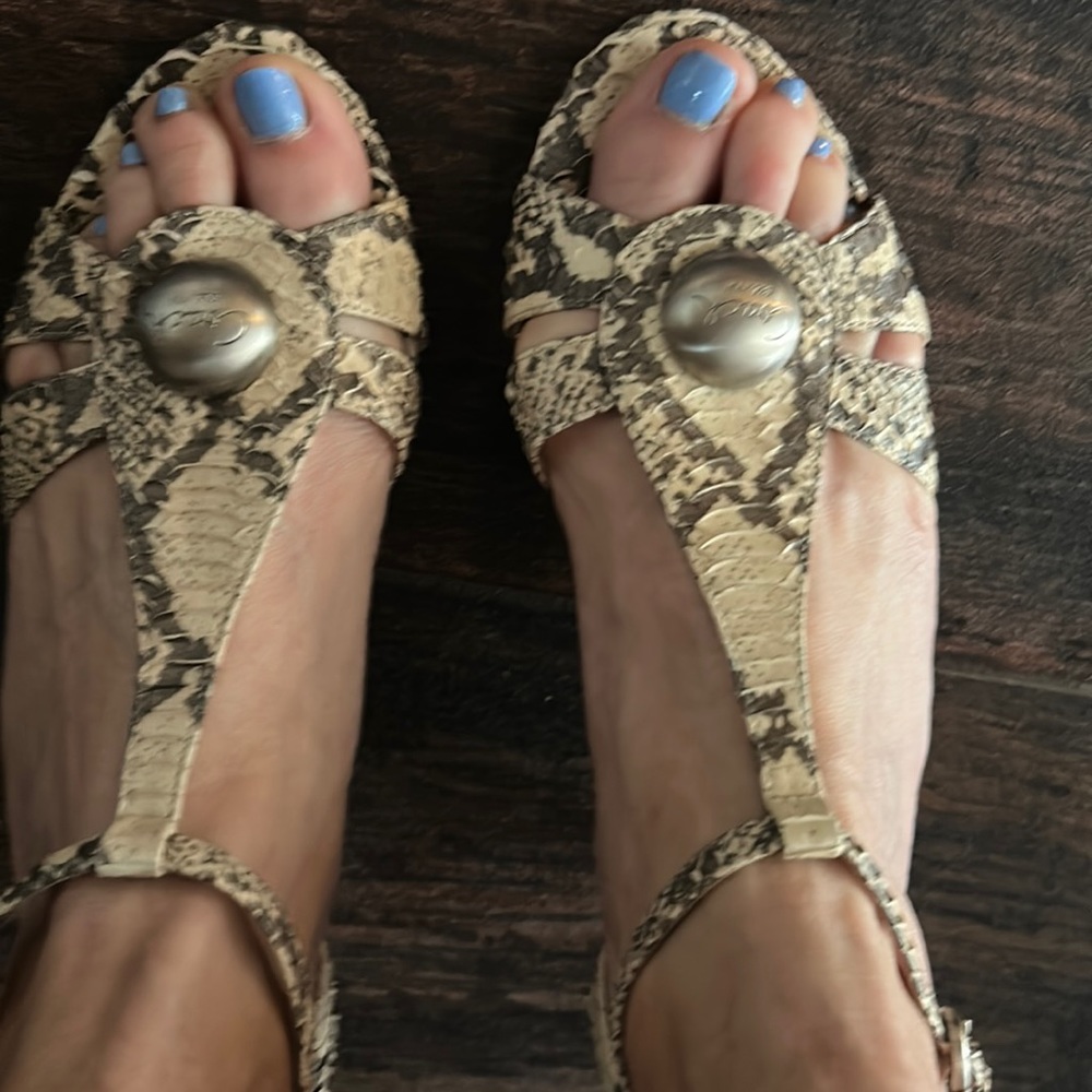 Snake skin sandals from Coach only worn once